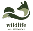 Wildlife Main-Spessart